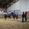 Ponyralley 124